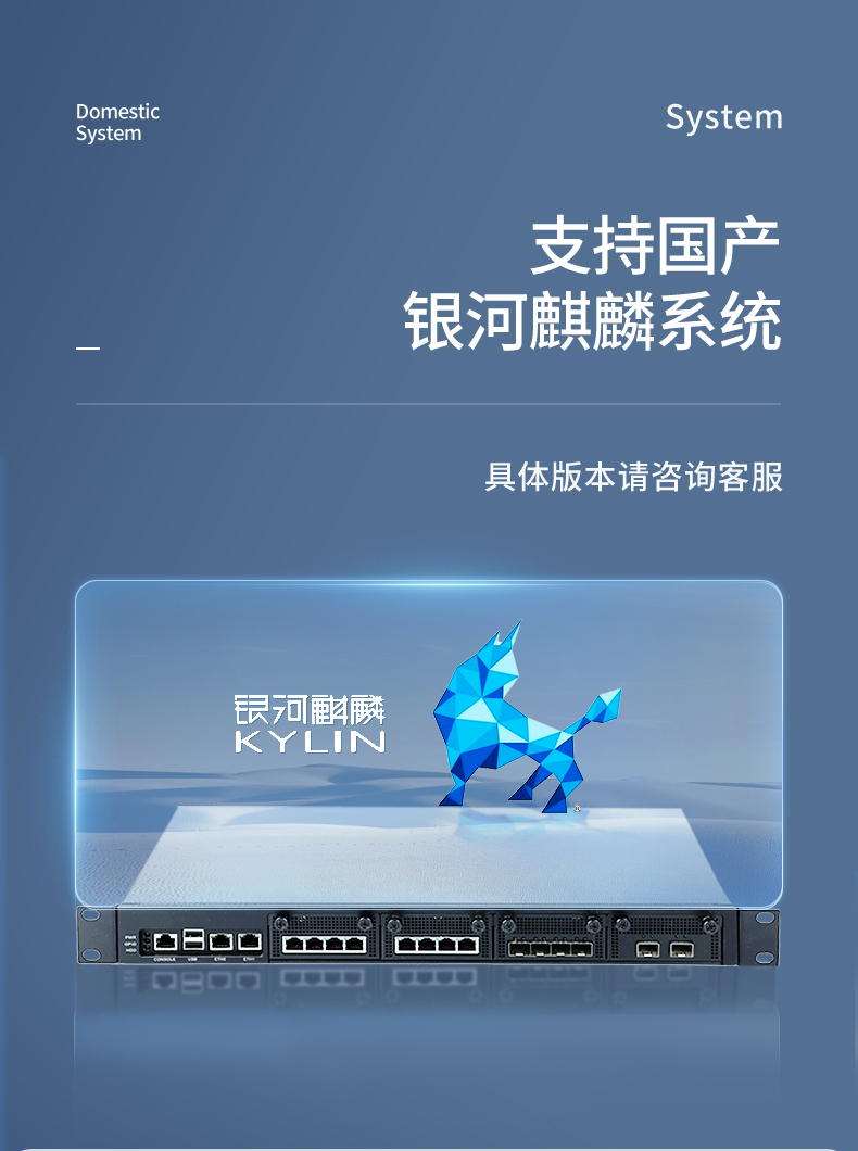 國(guó)產(chǎn)多網(wǎng)口工控主機(jī),網(wǎng)絡(luò)安全工業(yè)電腦,DT-12420-SD2000.jpg