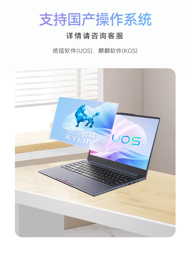 國產(chǎn)筆記本電腦,龍芯3A5000M處理器,DT-S14L4UD.jpg
