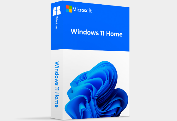 Windows 11 home操作系統(tǒng).png